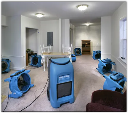 Emergency Water Damage Services in Big Bear Lake, CA